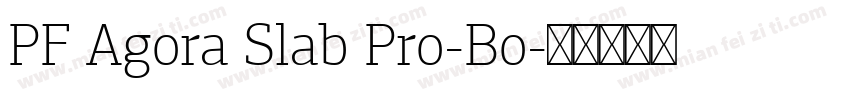 PF Agora Slab Pro-Bo字体转换